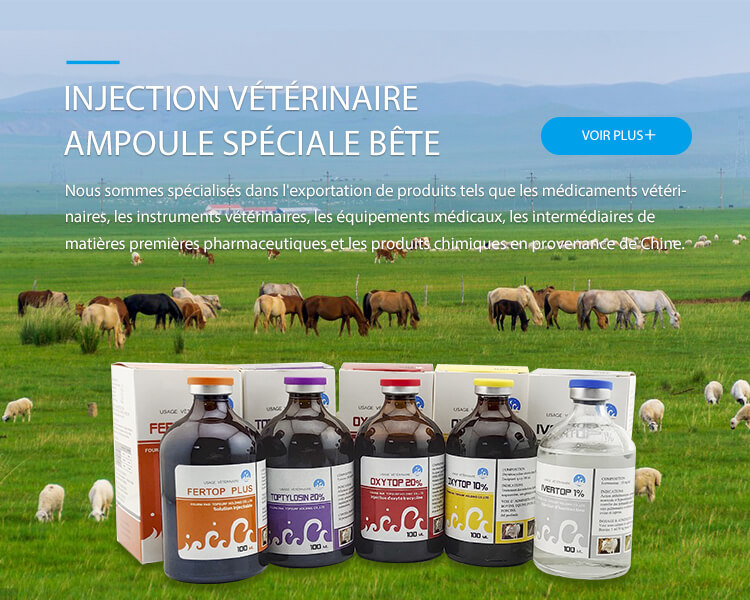 banner_phone2 法语